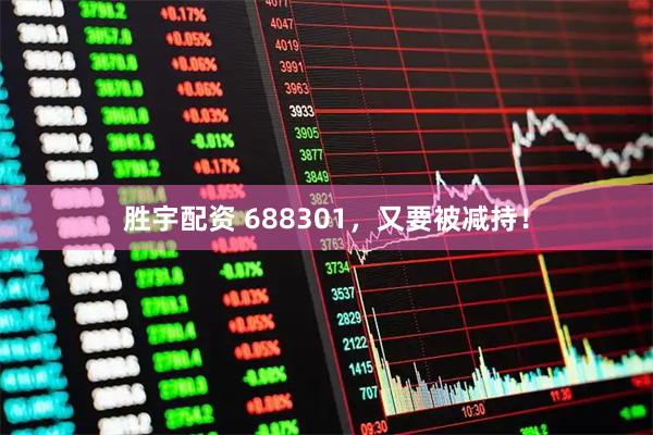 胜宇配资 688301，又要被减持！