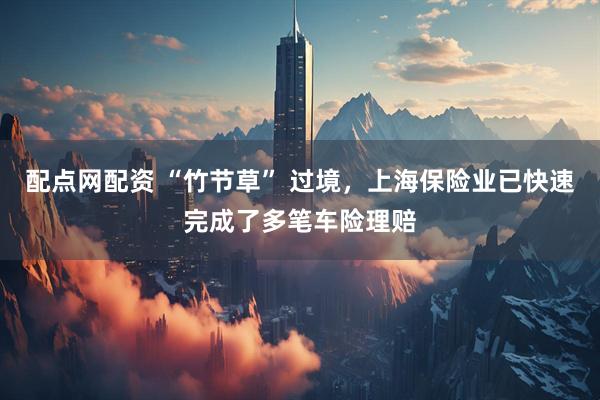 配点网配资 “竹节草” 过境，上海保险业已快速完成了多笔车险理赔