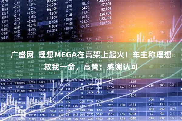 广盛网  理想MEGA在高架上起火！车主称理想救我一命，高管：感谢认可