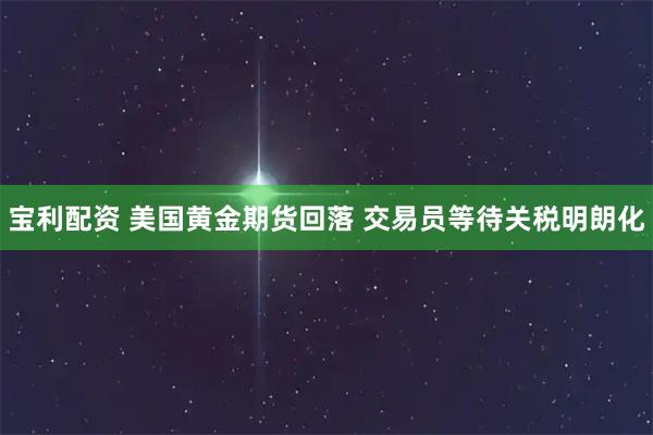 宝利配资 美国黄金期货回落 交易员等待关税明朗化