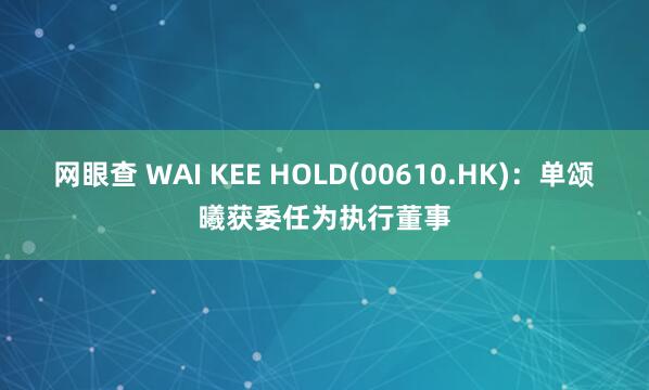 网眼查 WAI KEE HOLD(00610.HK)：单颂曦获委任为执行董事