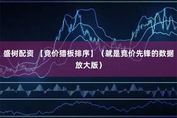 盛树配资 【竞价猎板排序】（就是竞价先锋的数据放大版）