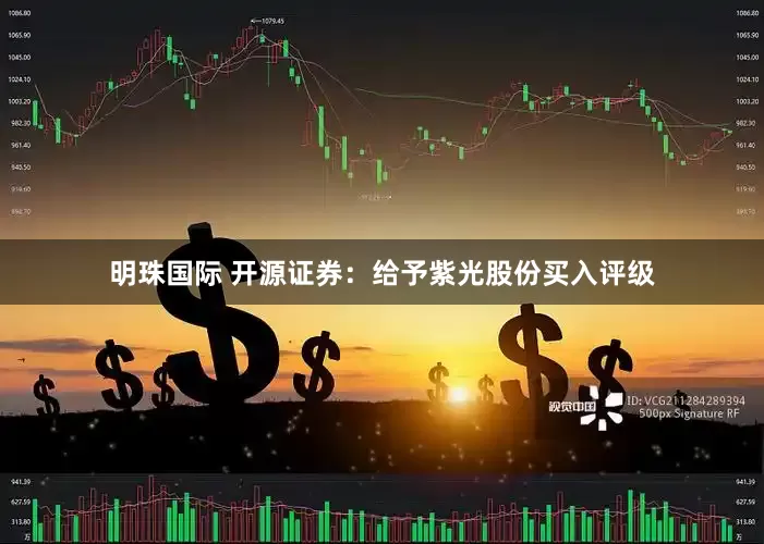 明珠国际 开源证券：给予紫光股份买入评级