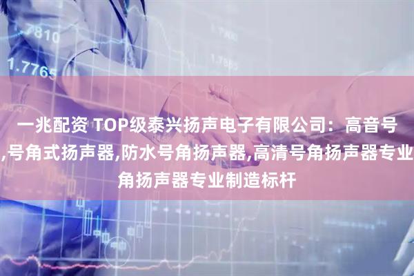 一兆配资 TOP级泰兴扬声电子有限公司：高音号角扬声器,号角式扬声器,防水号角扬声器,高清号角扬声器专业制造标杆